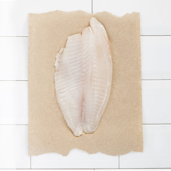 Filete de Tilapia premium fresca (8 filetes)