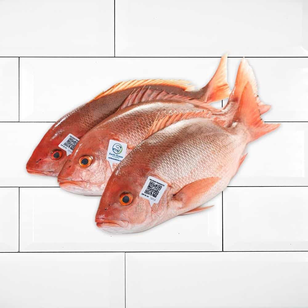 Huachinango Sustentable Entero/Mariposa (750gr a 850gr)